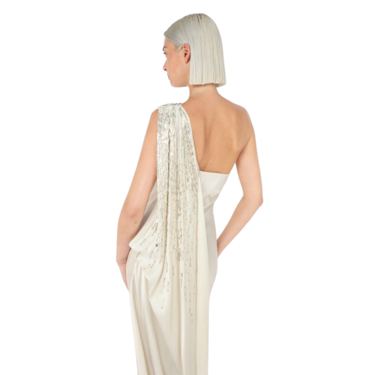 Dior Resort 2008 Embroidered Gown